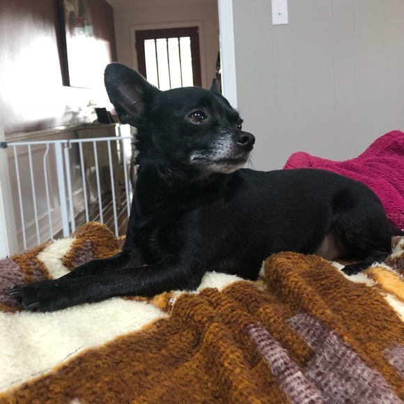 Meet your Posher, Amy - Picture 2 of 7